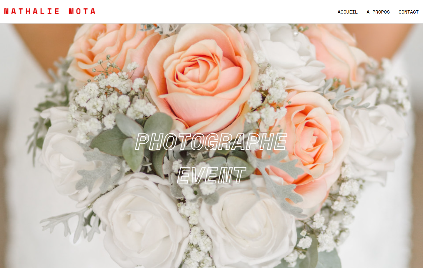 Accueil de motaphoto